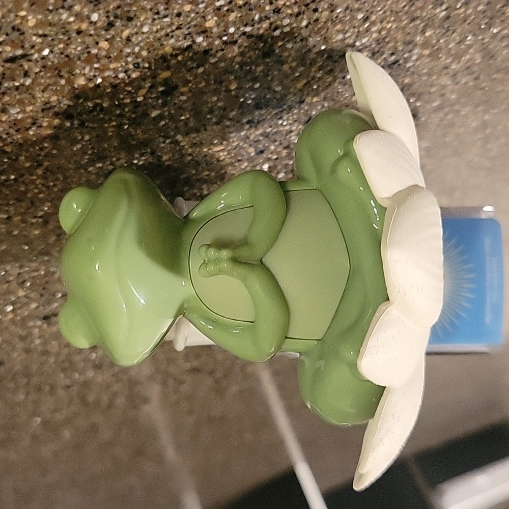 Light up frog Wallflower